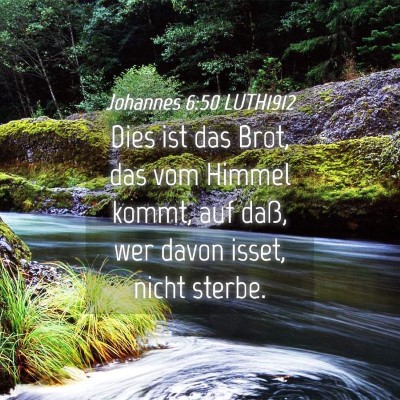 Picture 04 - Johannes 6:50 LUTH1912 - Dies ist das Brot, das vom Himmel kommt, auf - Bible Verse Picture