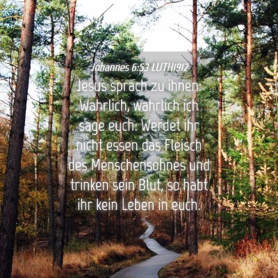 Picture 04 - Johannes 6:53 LUTH1912 - Jesus sprach zu ihnen: Wahrlich, wahrlich ich - Bible Verse Picture