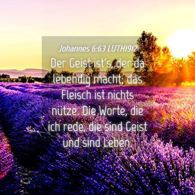 Picture 04 - Johannes 6:63 LUTH1912 - Der Geist ist's, der da lebendig macht; das - Bible Verse Picture