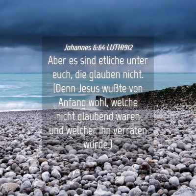 Picture 04 - Johannes 6:64 LUTH1912 - Aber es sind etliche unter euch, die glauben - Bible Verse Picture