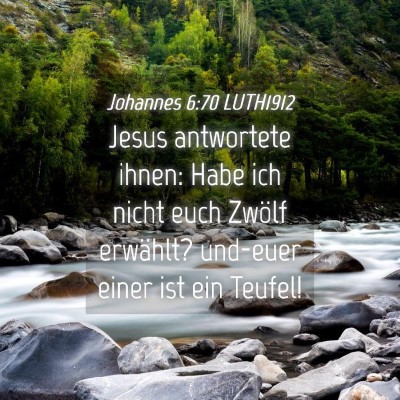 Picture 04 - Johannes 6:70 LUTH1912 - Jesus antwortete ihnen: Habe ich nicht euch - Bible Verse Picture