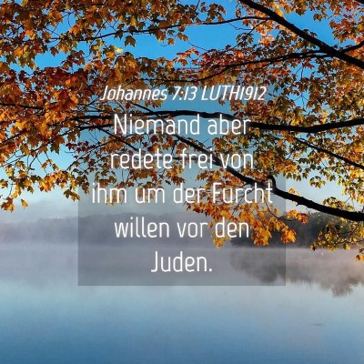 Picture 04 - Johannes 7:13 LUTH1912 - Niemand aber redete frei von ihm um der Furcht - Bible Verse Picture