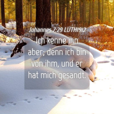 Picture 04 - Johannes 7:29 LUTH1912 - Ich kenne ihn aber; denn ich bin von ihm, und er - Bible Verse Picture