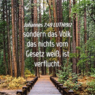 Picture 04 - Johannes 7:49 LUTH1912 - sondern das Volk, das nichts vom Gesetz weiß, - Bible Verse Picture