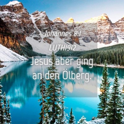 Picture 04 - Johannes 8:1 LUTH1912 - Jesus aber ging an den - Bible Verse Picture