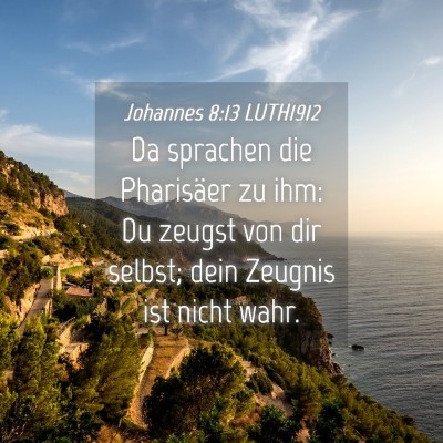 Picture 04 - Johannes 8:13 LUTH1912 - Da sprachen die Pharisäer zu ihm: Du zeugst von - Bible Verse Picture