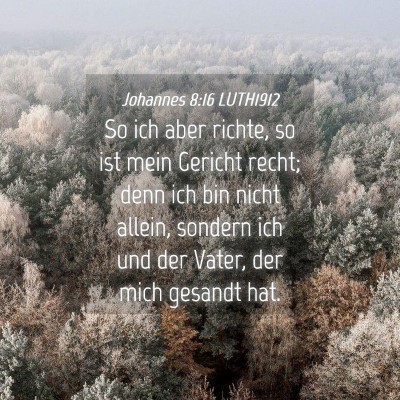 Picture 04 - Johannes 8:16 LUTH1912 - So ich aber richte, so ist mein Gericht recht; - Bible Verse Picture