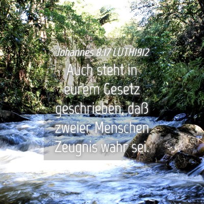 Picture 04 - Johannes 8:17 LUTH1912 - Auch steht in eurem Gesetz geschrieben, daß - Bible Verse Picture