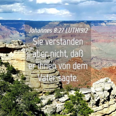 Picture 04 - Johannes 8:27 LUTH1912 - Sie verstanden aber nicht, daß er ihnen von dem - Bible Verse Picture