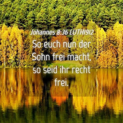 Picture 04 - Johannes 8:36 LUTH1912 - So euch nun der Sohn frei macht, so seid ihr - Bible Verse Picture