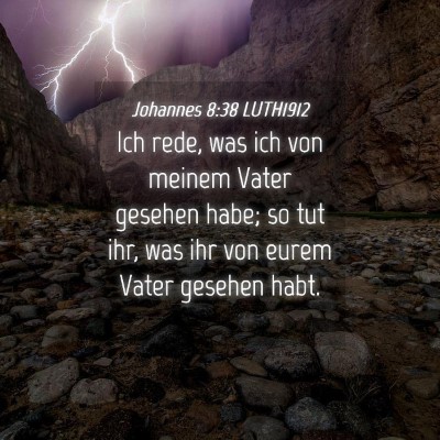 Picture 04 - Johannes 8:38 LUTH1912 - Ich rede, was ich von meinem Vater gesehen habe; - Bible Verse Picture