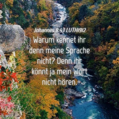 Picture 04 - Johannes 8:43 LUTH1912 - Warum kennet ihr denn meine Sprache nicht? Denn - Bible Verse Picture