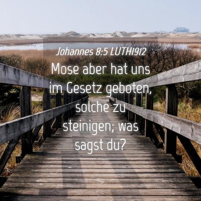 Picture 04 - Johannes 8:5 LUTH1912 - Mose aber hat uns im Gesetz geboten, solche zu - Bible Verse Picture
