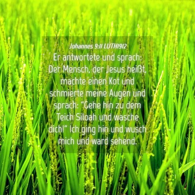 Picture 04 - Johannes 9:11 LUTH1912 - Er antwortete und sprach: Der Mensch, der Jesus - Bible Verse Picture