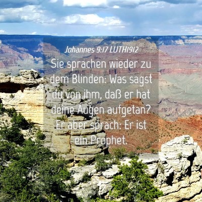 Picture 04 - Johannes 9:17 LUTH1912 - Sie sprachen wieder zu dem Blinden: Was sagst du - Bible Verse Picture