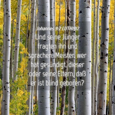 Picture 04 - Johannes 9:2 LUTH1912 - Und seine Jünger fragten ihn und sprachen: - Bible Verse Picture