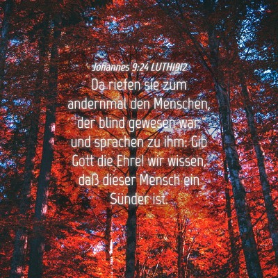 Picture 04 - Johannes 9:24 LUTH1912 - Da riefen sie zum andernmal den Menschen, der - Bible Verse Picture