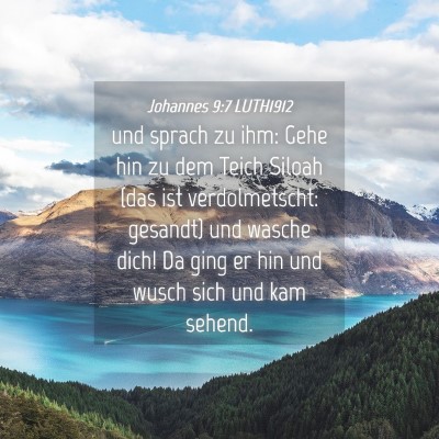 Picture 04 - Johannes 9:7 LUTH1912 - und sprach zu ihm: Gehe hin zu dem Teich Siloah - Bible Verse Picture