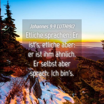 Picture 04 - Johannes 9:9 LUTH1912 - Etliche sprachen: Er ist's, etliche aber: er ist - Bible Verse Picture