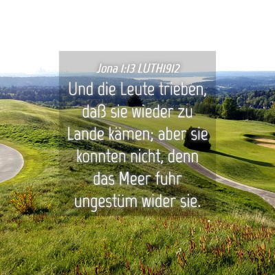 Picture 04 - Jona 1:13 LUTH1912 - Und die Leute trieben, daß sie wieder zu Lande - Bible Verse Picture