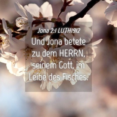 Picture 04 - Jona 2:1 LUTH1912 - Und Jona betete zu dem HERRN, seinem Gott, im - Bible Verse Picture