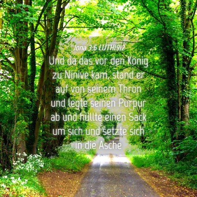 Picture 04 - Jona 3:6 LUTH1912 - Und da das vor den König zu Ninive kam, stand er - Bible Verse Picture