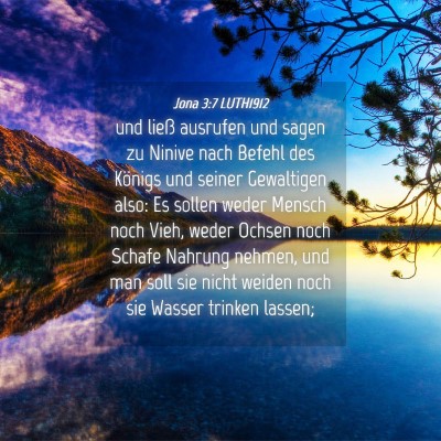 Picture 04 - Jona 3:7 LUTH1912 - und ließ ausrufen und sagen zu Ninive nach - Bible Verse Picture