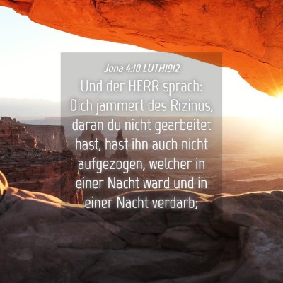 Picture 04 - Jona 4:10 LUTH1912 - Und der HERR sprach: Dich jammert des Rizinus, - Bible Verse Picture