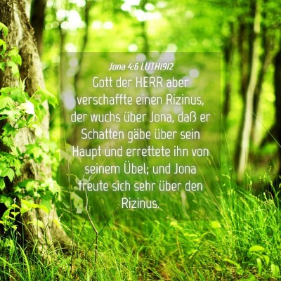 Picture 04 - Jona 4:6 LUTH1912 - Gott der HERR aber verschaffte einen Rizinus, der - Bible Verse Picture