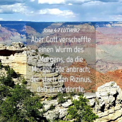 Picture 04 - Jona 4:7 LUTH1912 - Aber Gott verschaffte einen Wurm des Morgens, da - Bible Verse Picture