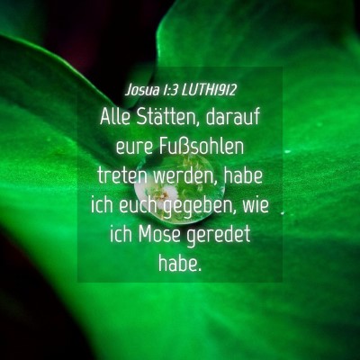 Picture 04 - Josua 1:3 LUTH1912 - Alle Stätten, darauf eure Fußsohlen treten - Bible Verse Picture