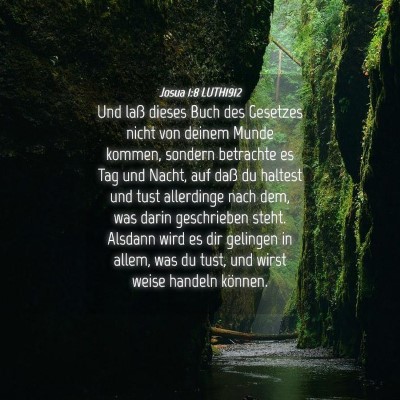 Picture 04 - Josua 1:8 LUTH1912 - Und laß dieses Buch des Gesetzes nicht von - Bible Verse Picture