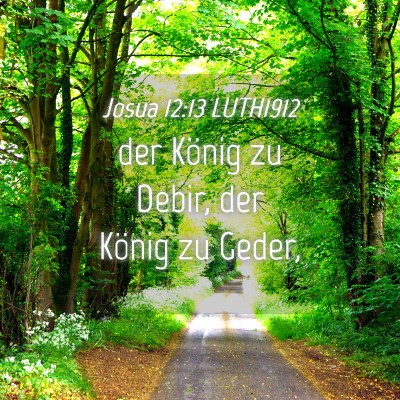 Picture 04 - Josua 12:13 LUTH1912 - der König zu Debir, der König zu - Bible Verse Picture
