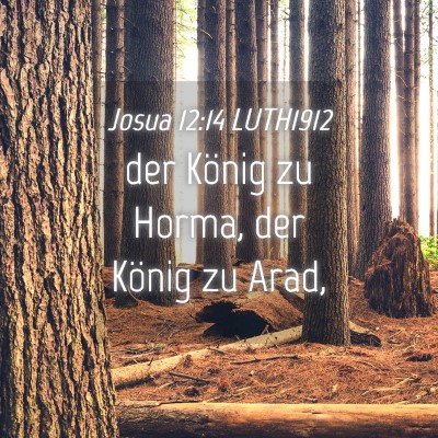 Picture 04 - Josua 12:14 LUTH1912 - der König zu Horma, der König zu - Bible Verse Picture