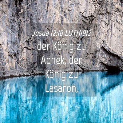 Picture 04 - Josua 12:18 LUTH1912 - der König zu Aphek, der König zu - Bible Verse Picture