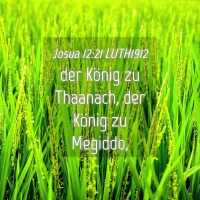 Picture 04 - Josua 12:21 LUTH1912 - der König zu Thaanach, der König zu - Bible Verse Picture