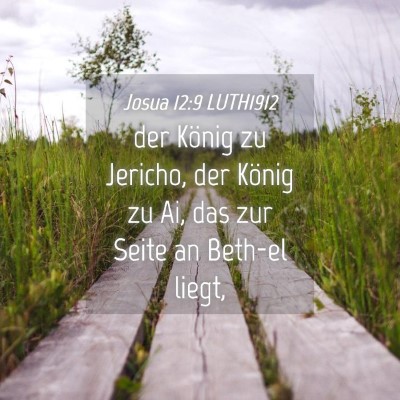 Picture 04 - Josua 12:9 LUTH1912 - der König zu Jericho, der König zu Ai, das zur - Bible Verse Picture
