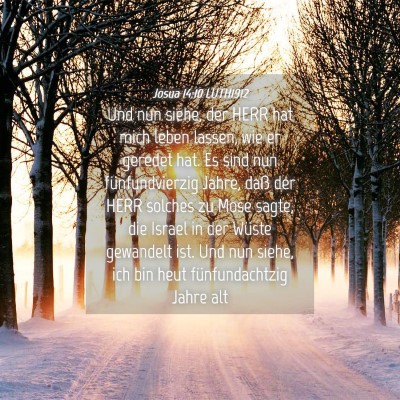 Picture 04 - Josua 14:10 LUTH1912 - Und nun siehe, der HERR hat mich leben lassen, - Bible Verse Picture