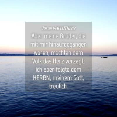 Picture 04 - Josua 14:8 LUTH1912 - Aber meine Brüder, die mit mir hinaufgegangen - Bible Verse Picture