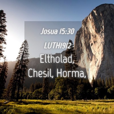 Picture 04 - Josua 15:30 LUTH1912 - Eltholad, Chesil, - Bible Verse Picture
