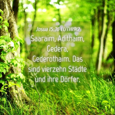 Picture 04 - Josua 15:36 LUTH1912 - Saaraim, Adithaim, Gedera, Gederothaim. Das sind - Bible Verse Picture