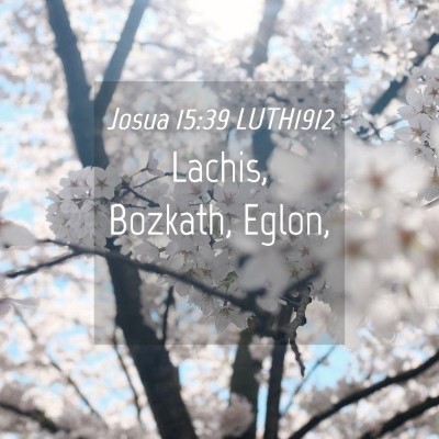 Picture 04 - Josua 15:39 LUTH1912 - Lachis, Bozkath, - Bible Verse Picture