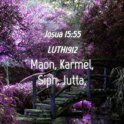 Picture 04 - Josua 15:55 LUTH1912 - Maon, Karmel, Siph, - Bible Verse Picture