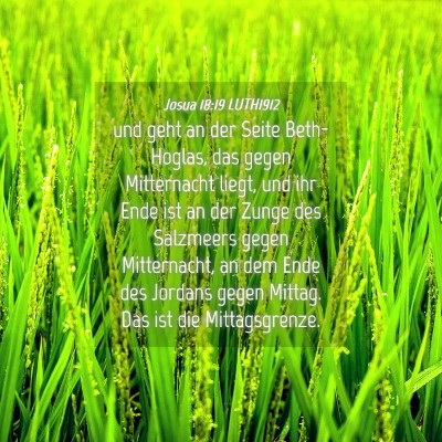 Picture 04 - Josua 18:19 LUTH1912 - und geht an der Seite Beth-Hoglas, das gegen - Bible Verse Picture