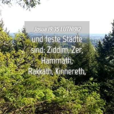 Picture 04 - Josua 19:35 LUTH1912 - und feste Städte sind: Ziddim, Zer, Hammath, - Bible Verse Picture