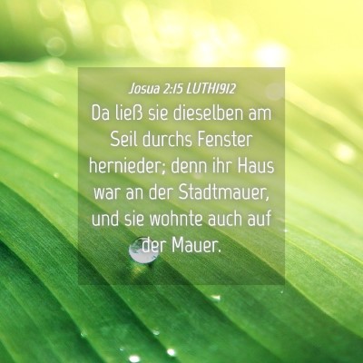 Picture 04 - Josua 2:15 LUTH1912 - Da ließ sie dieselben am Seil durchs Fenster - Bible Verse Picture