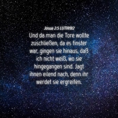 Picture 04 - Josua 2:5 LUTH1912 - Und da man die Tore wollte zuschließen, da es - Bible Verse Picture