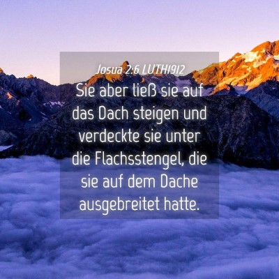 Picture 04 - Josua 2:6 LUTH1912 - Sie aber ließ sie auf das Dach steigen und - Bible Verse Picture