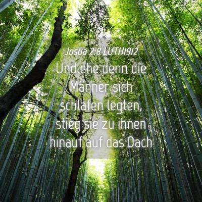 Picture 04 - Josua 2:8 LUTH1912 - Und ehe denn die Männer sich schlafen legten, - Bible Verse Picture