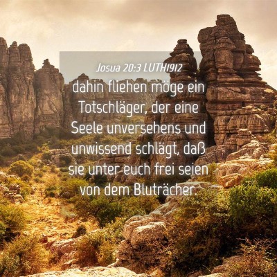 Picture 04 - Josua 20:3 LUTH1912 - dahin fliehen möge ein Totschläger, der eine - Bible Verse Picture